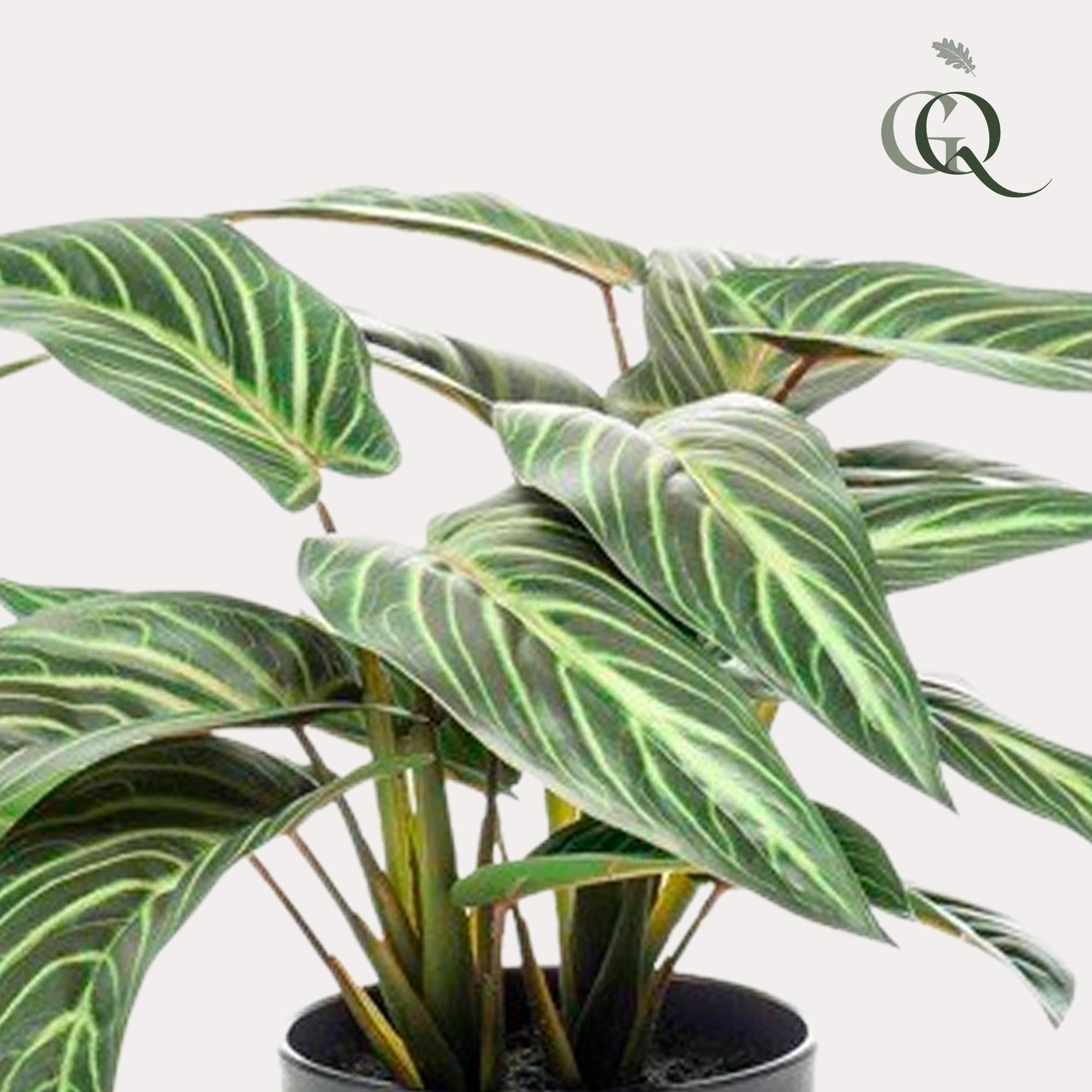 Kunstpflanze - Calathea Zebrina - 38 cm