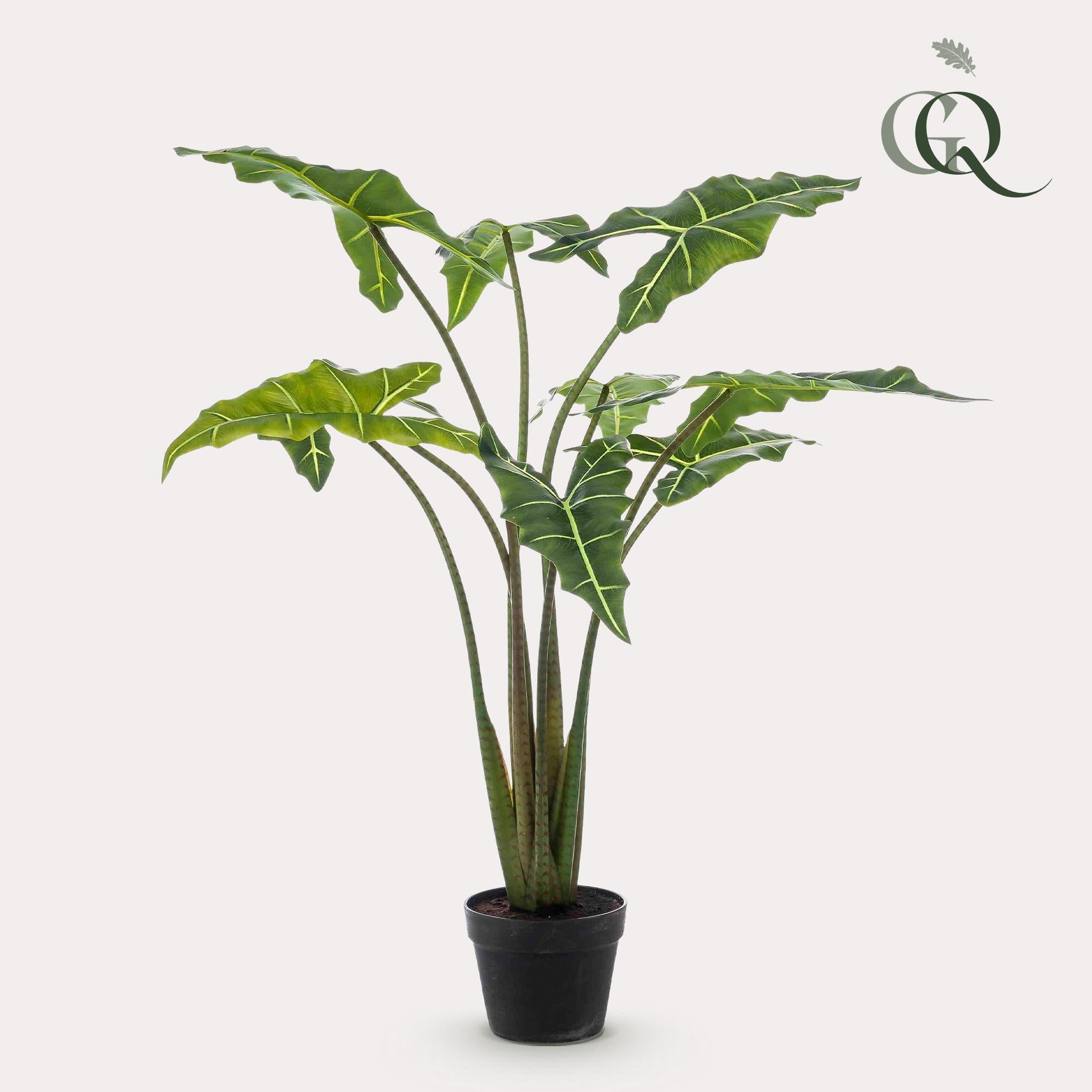 Kunstpflanze - Alocasia Frydek - 100 cm