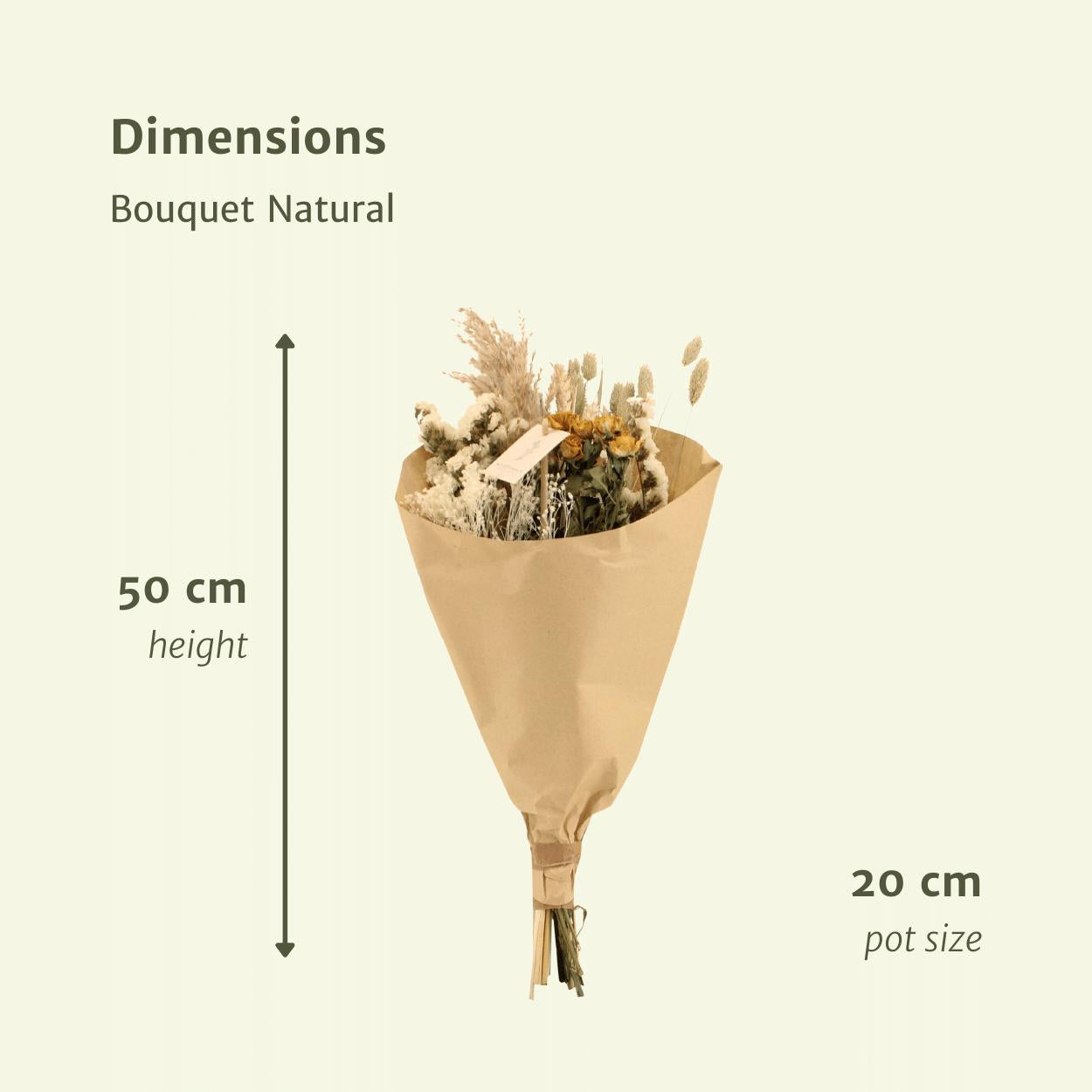 Trockenblumen - Feldstrauß Natur - Ø20 - ↨50cm