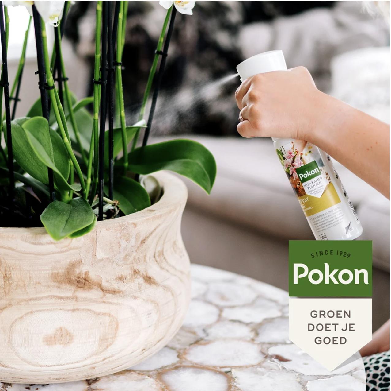 Pokon Powerspray Orchidee 300 ml