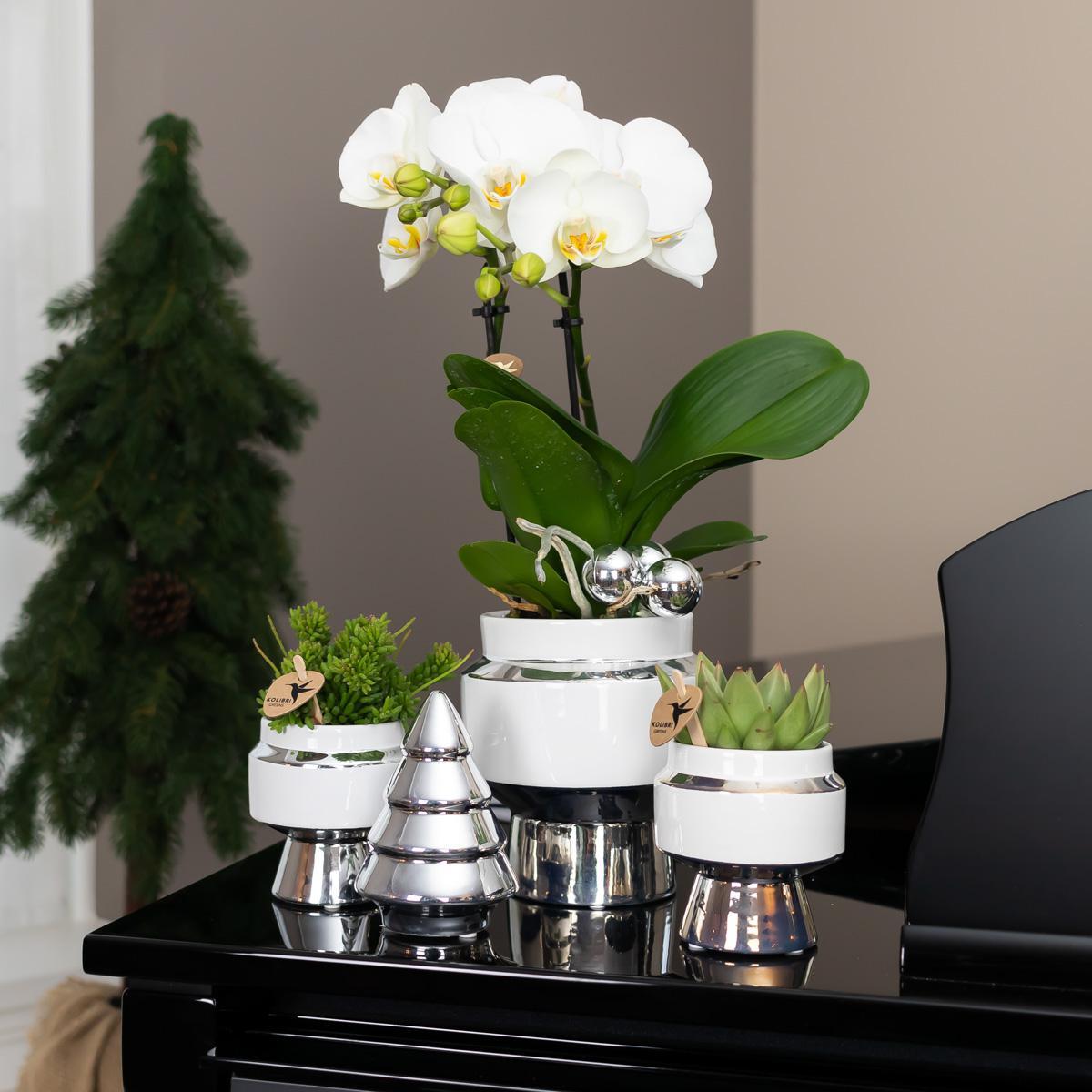 Kolibrie Thuis | Le Chic bloempot - Witte decoratieve keramiek pot met zilveren details - Ø6cm