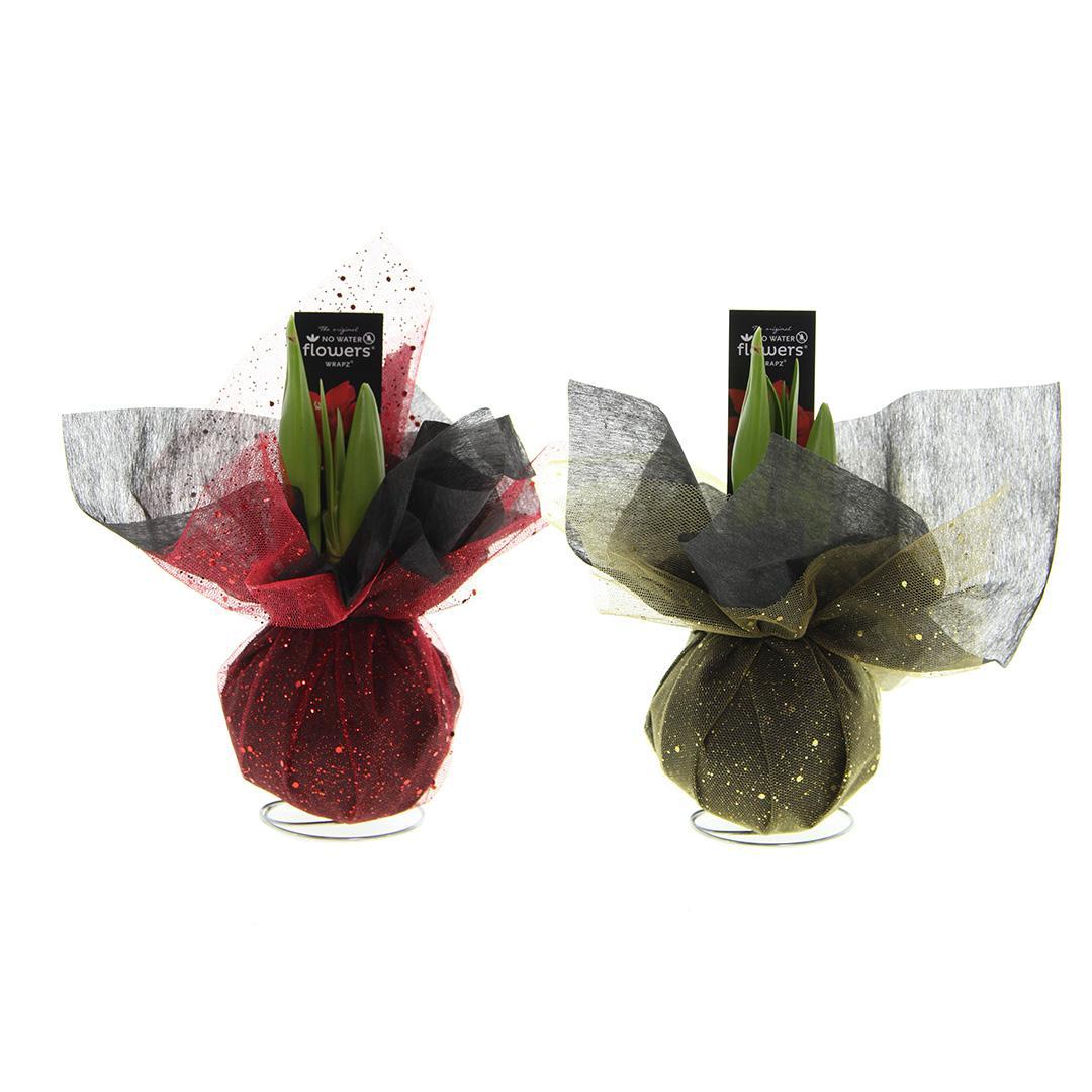 No Water Flowers® (wax amaryllis) | Wrapz Mix (2 pack) + Red flower