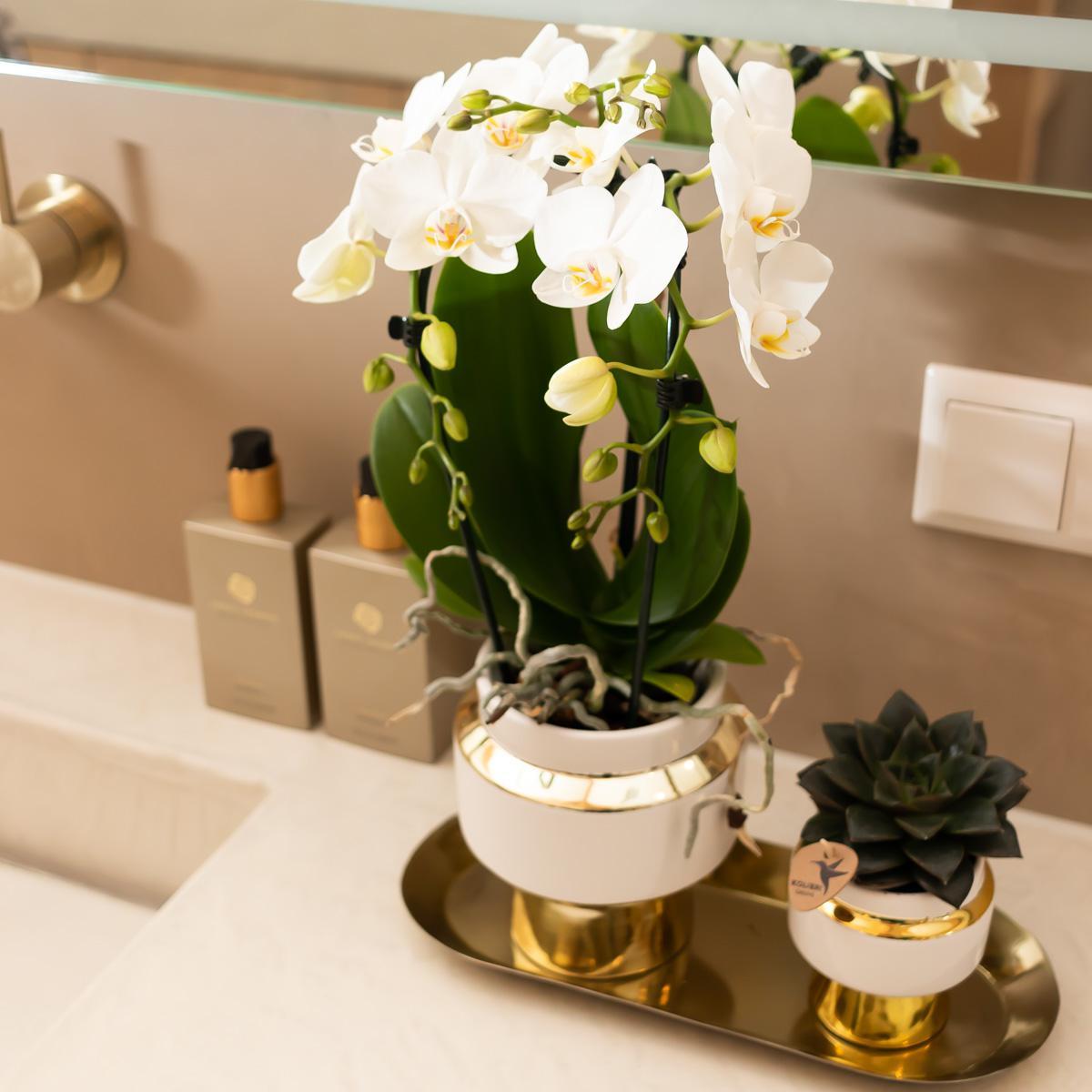 Kolibrie Thuis | Le Chic bloempot - Witte decoratieve keramiek pot met gouden details - Ø9cm