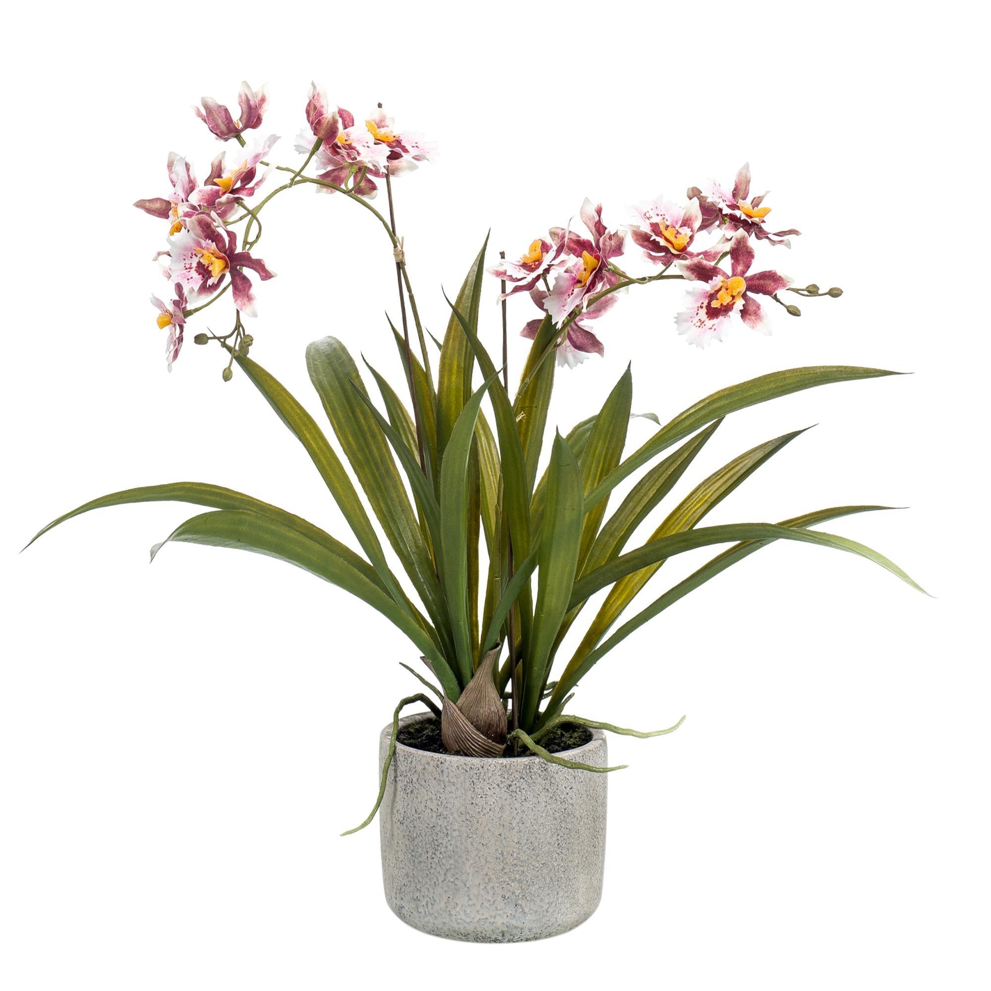 Kunstblume - Orchidee - Bordeaux - 45cm