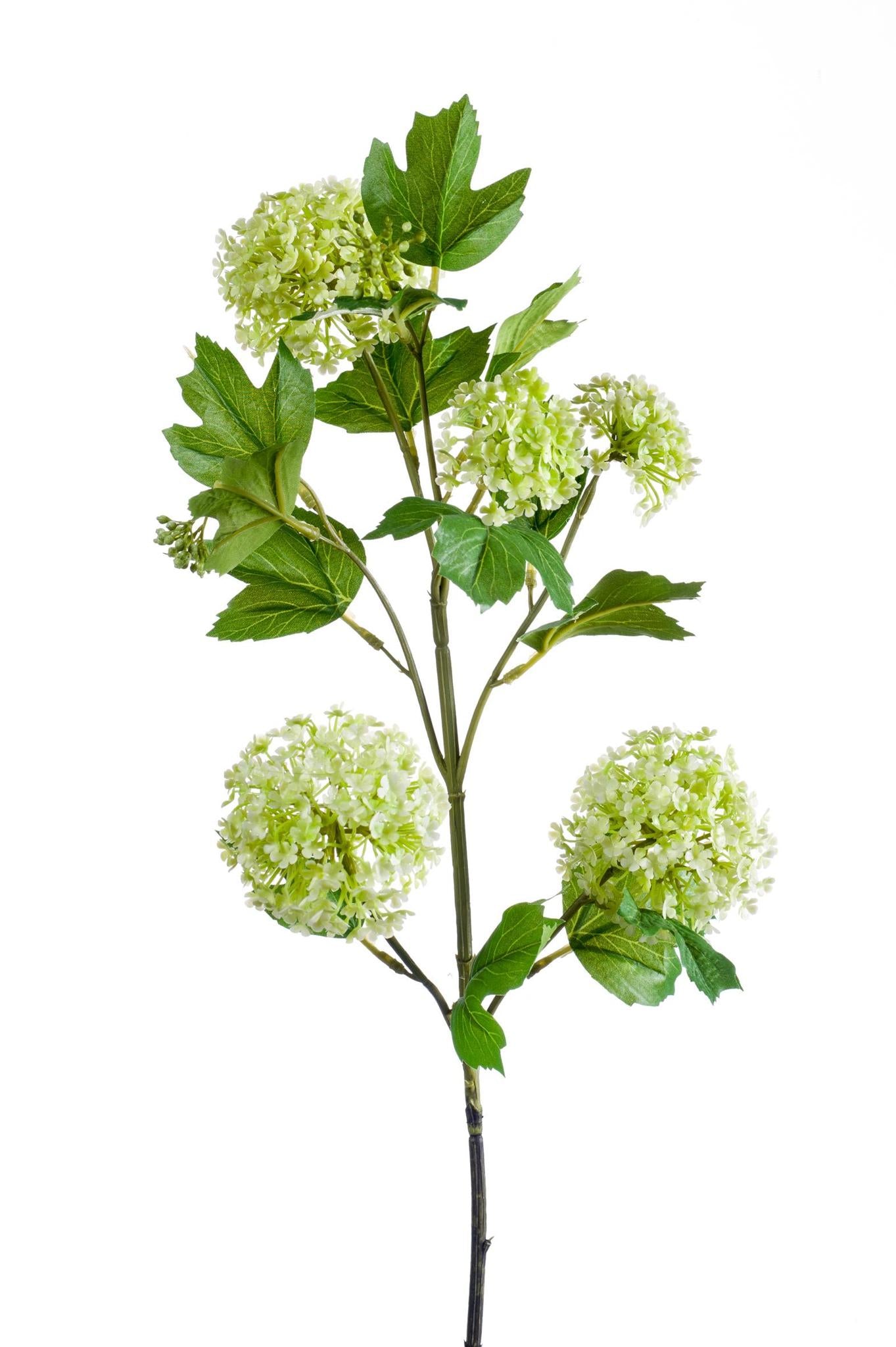 Kunstblumen Solo – Blumenstrauß – Viburnum Opulus Creme grün – x 4 – 75 cm