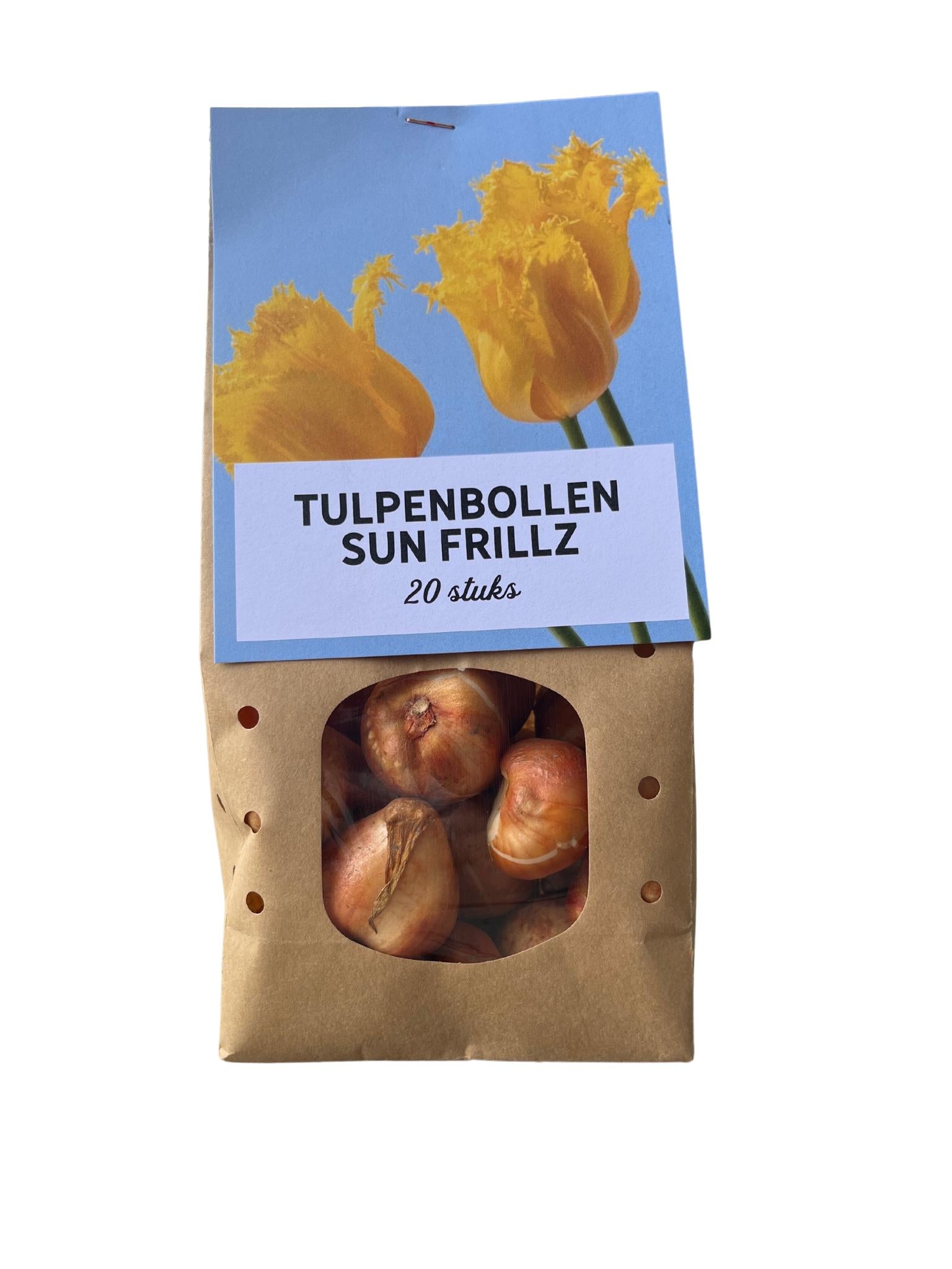 Tulpe Sun Frillz - Tulpenzwiebeln 20 Stück