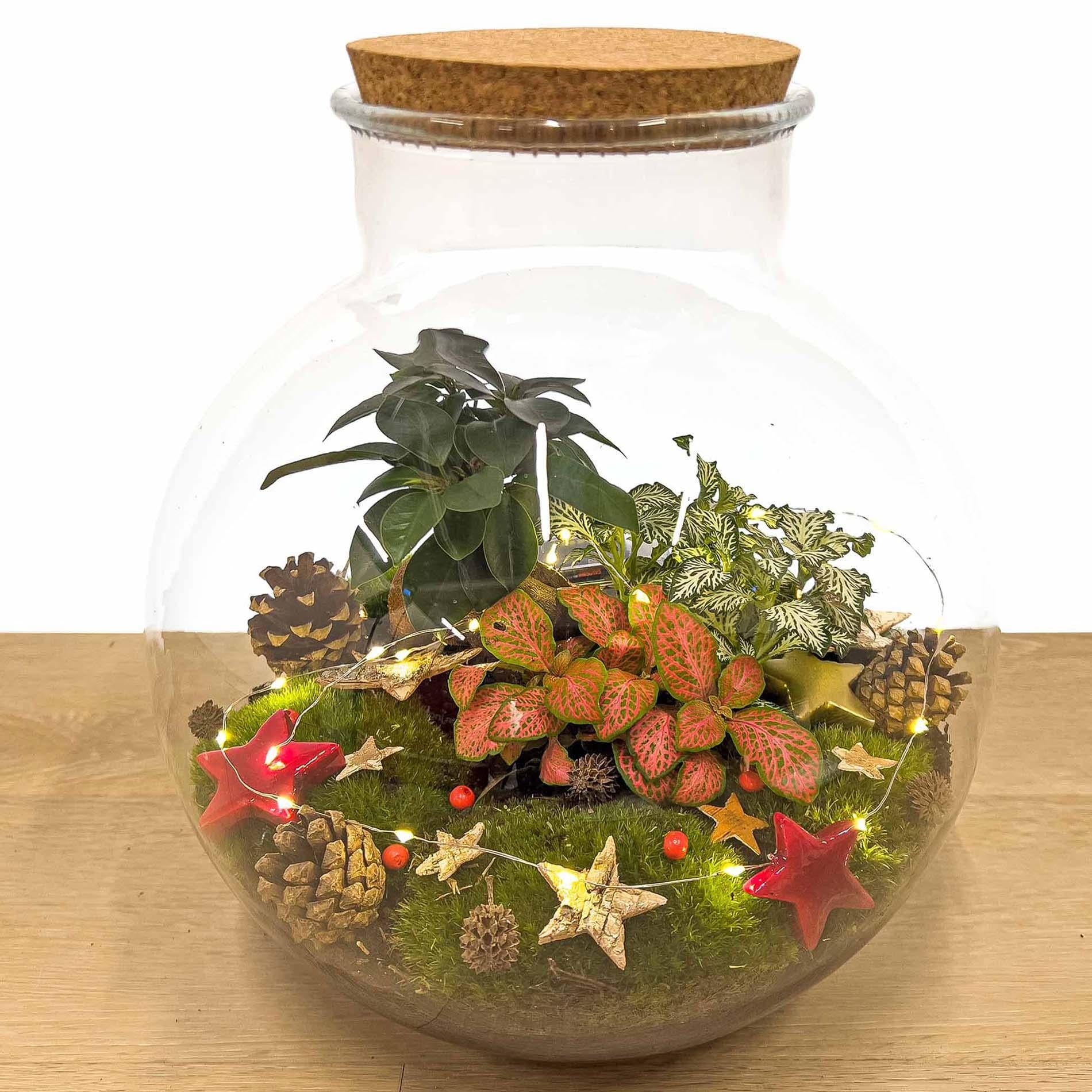 Weihnachts-Terrarium-Dekorationsset!