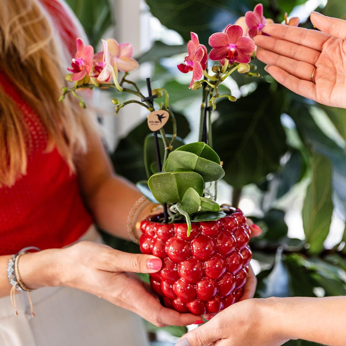 Dekotopf Berry rot - berry pot red - Ø9cm