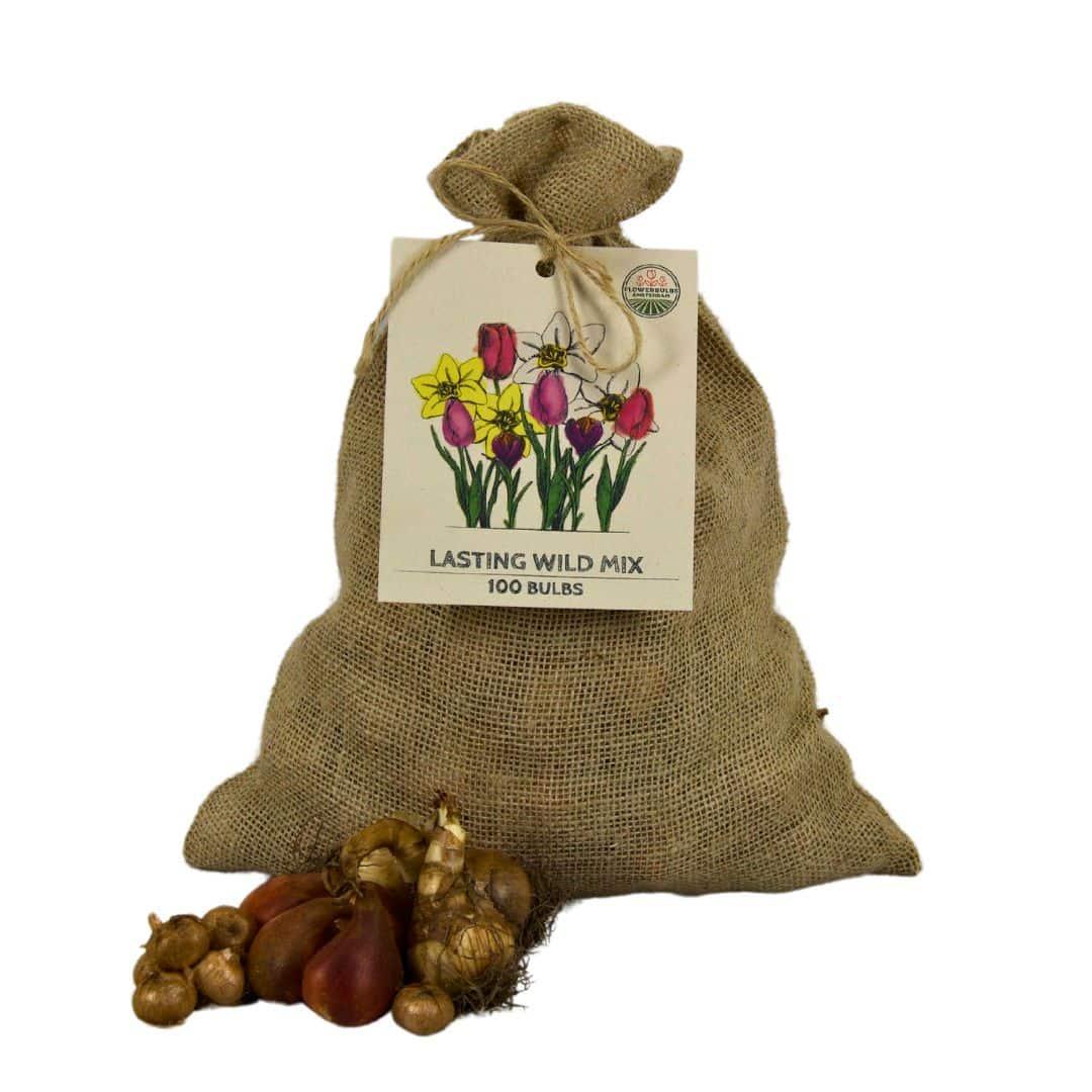 Frühlingsblumenzwiebeln Mix - Tulpen,Narzissen, Osterglocken u. Krokuse &nbsp;Super Lasting Wild Mix - Nachhaltige Vorteilspackung, 100 Blumenzwiebeln für 2,5 qm Blumenpracht