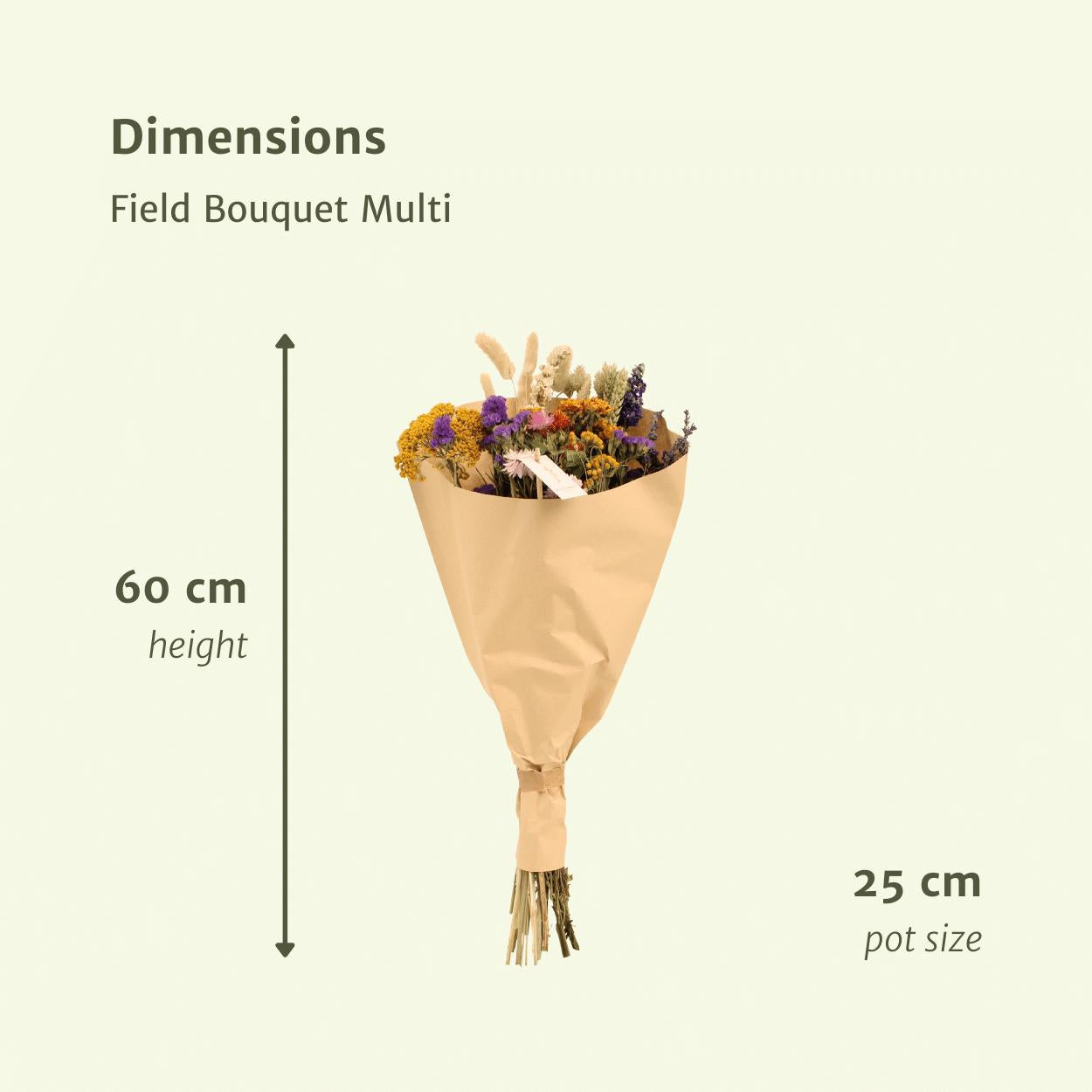 Trockenblumen - Feldstrauß Multi - Ø25 - ↨60cm