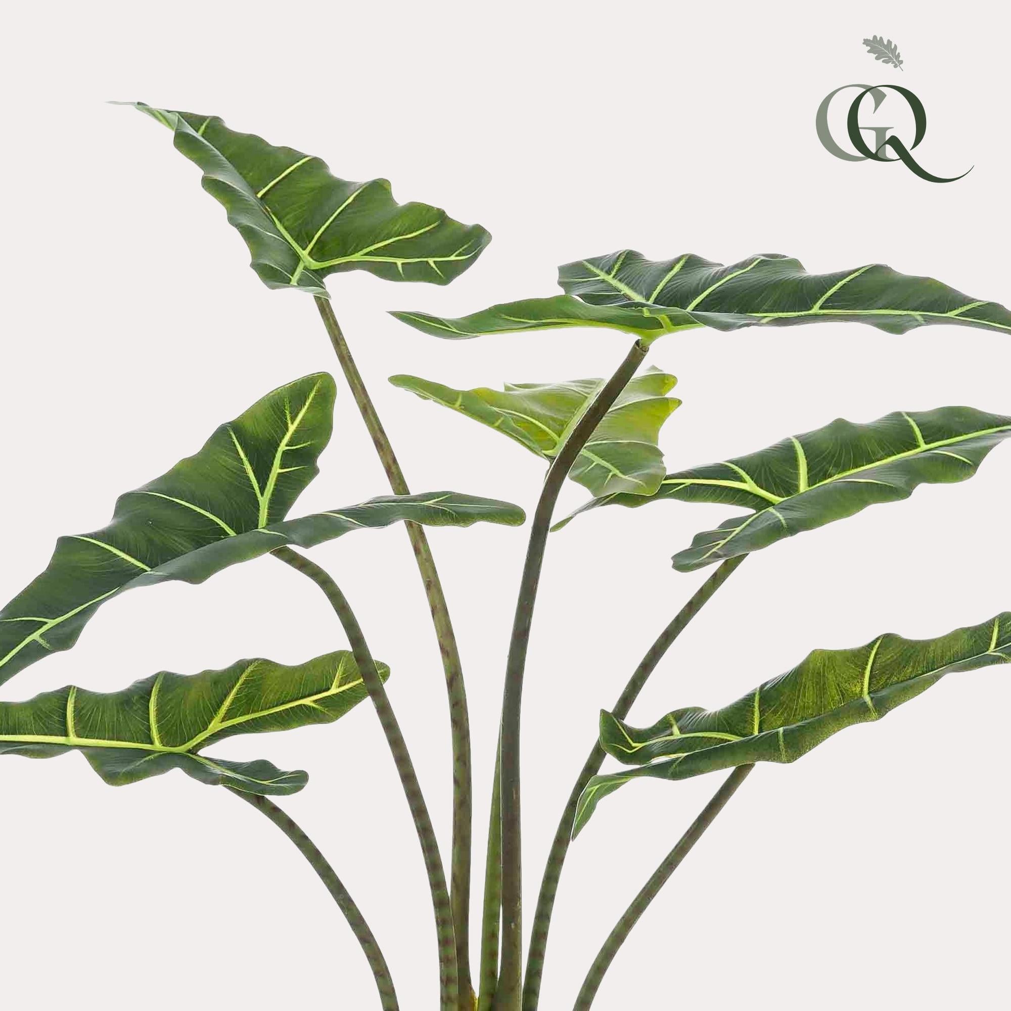 Kunstpflanze - Alocasia Frydek - 90 cm