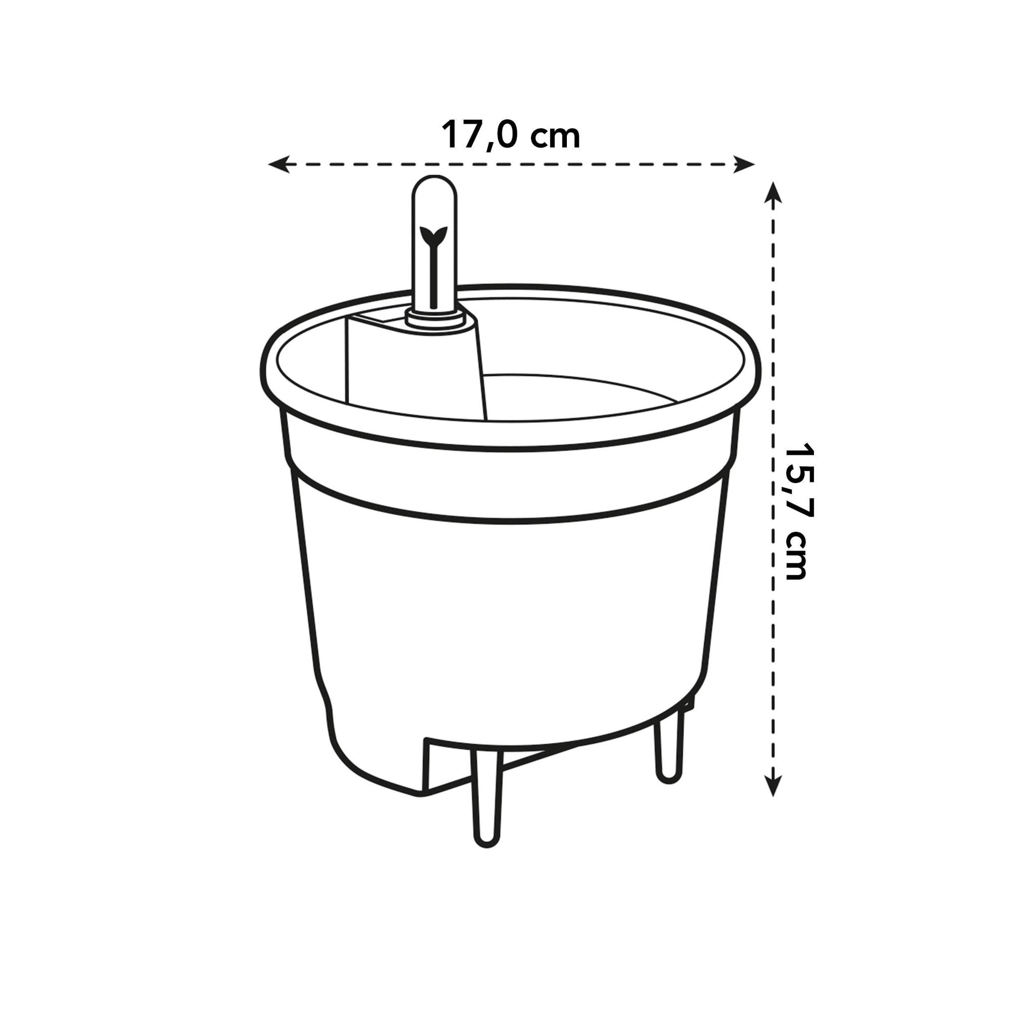 Selbstbewässerungseinsatz – 17 cm