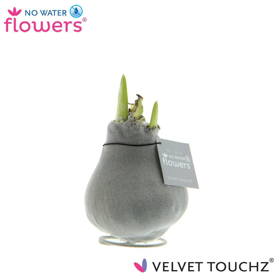 No Water Flowers Velvet Touchz® Silver - ↕15cm