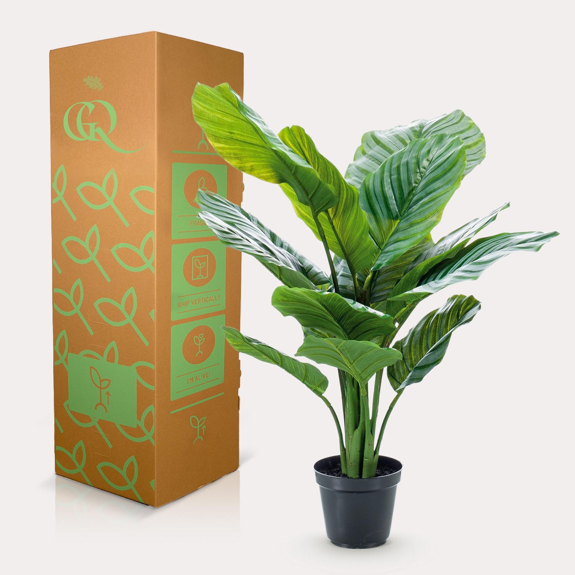 Kunstpflanze - Calathea Orbifolia - Schattigkeitspflanze - 60 cm