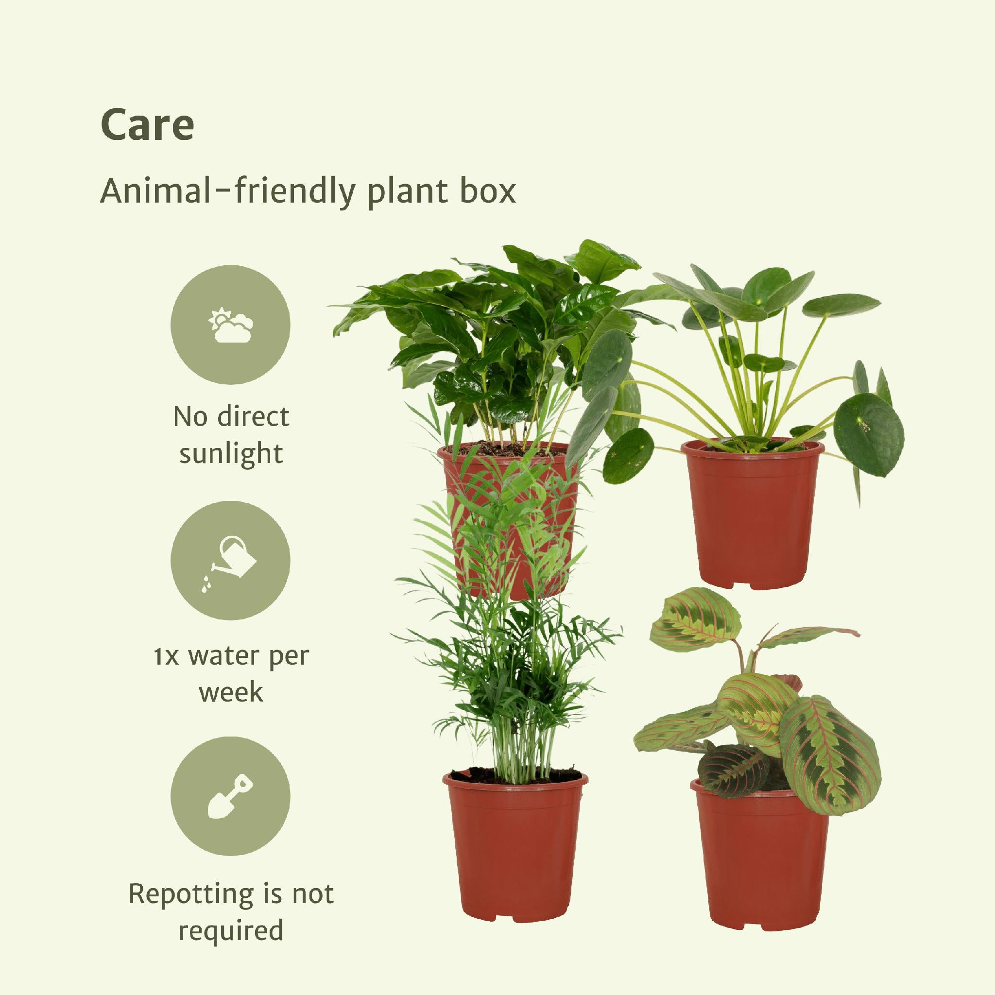 Diervriendelijke plantenbak - 4 stuks - Ø12cm - ↕20-40cm