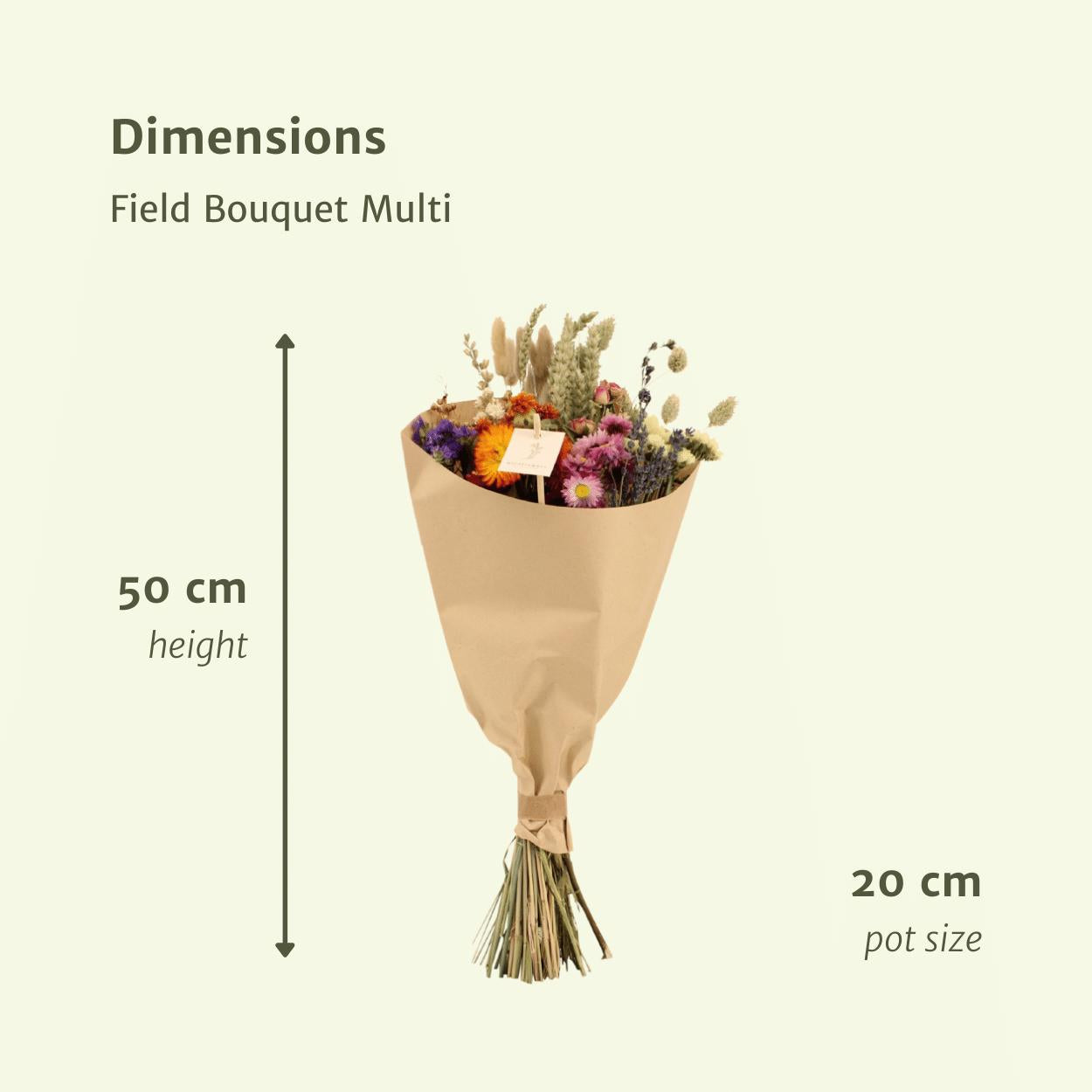 Trockenblumen - Feldstrauß Multi - Ø20 - ↨50cm