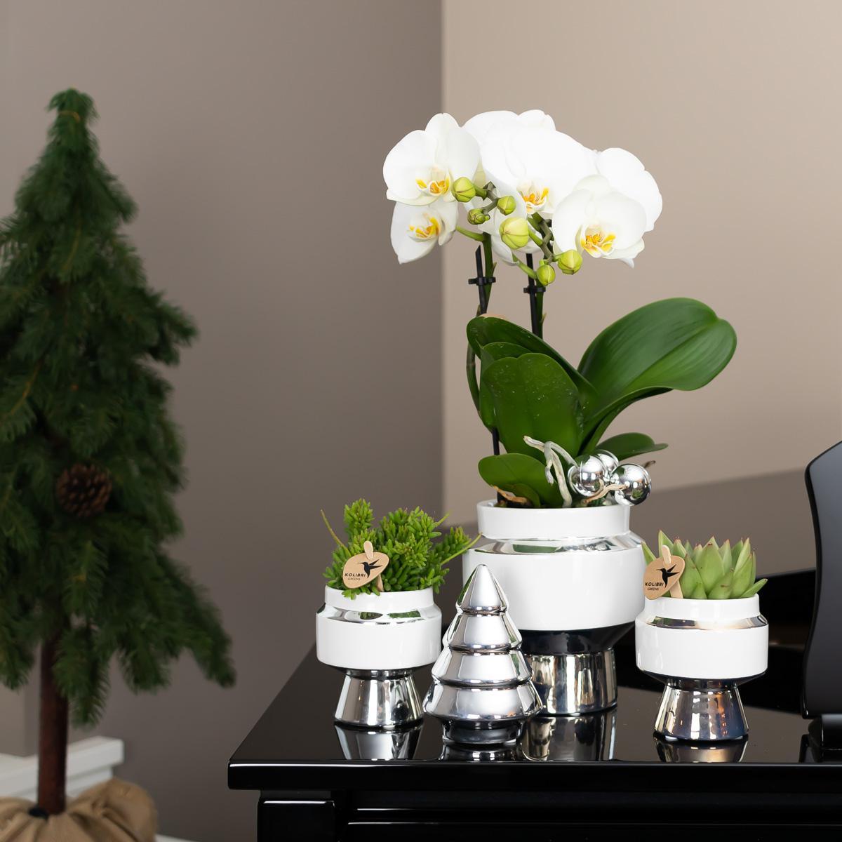 Kolibrie Thuis | Le Chic bloempot - Witte decoratieve keramiek pot met zilveren details - Ø6cm