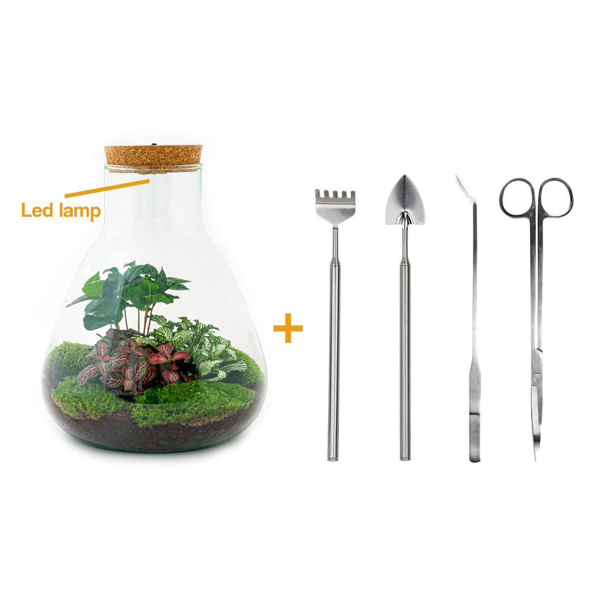 Flaschengarten - Sam mit Lampe - ↕ 30 cm - Rake + Shovel + Tweezer + Scissors