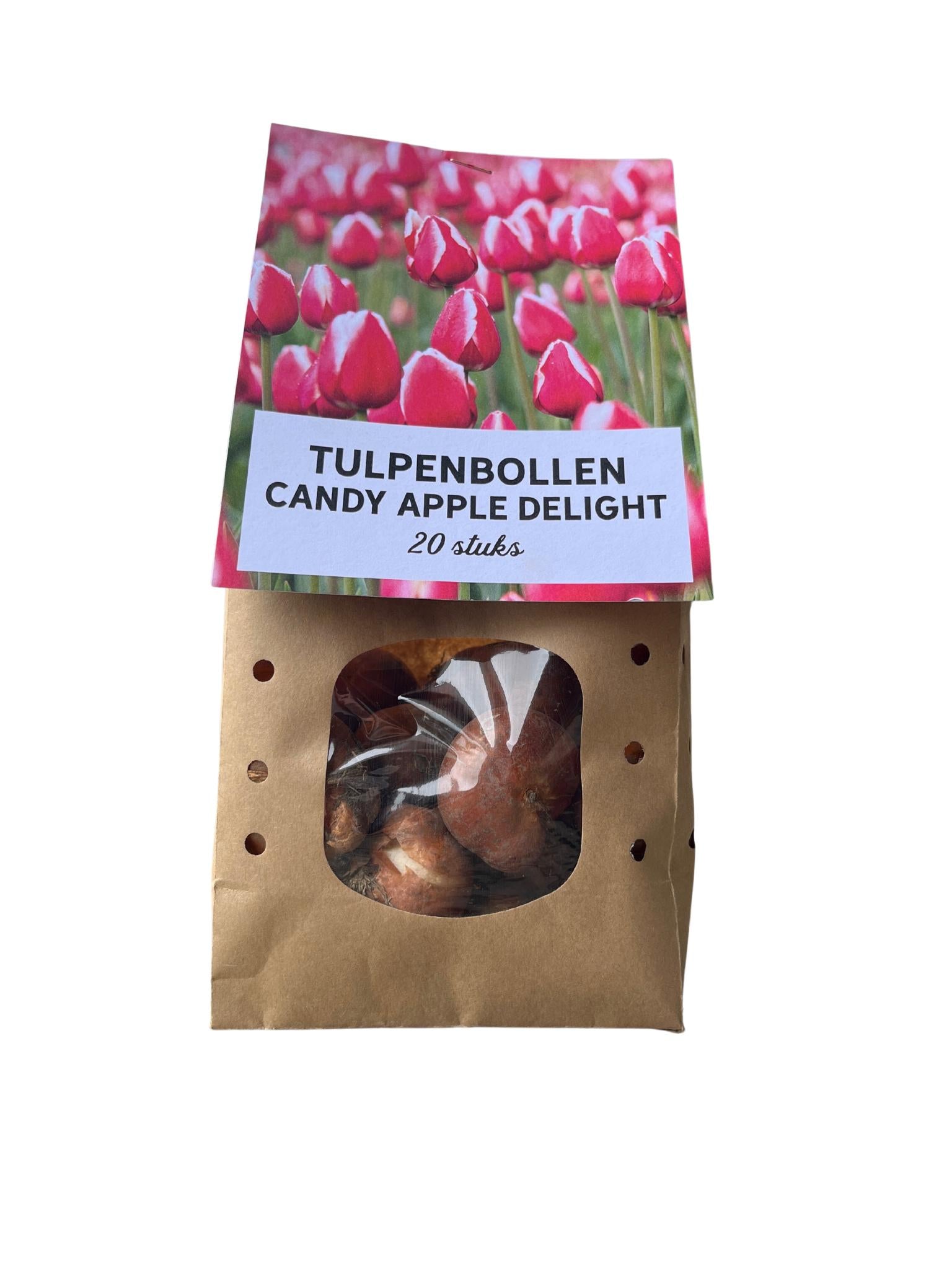 Tulpe Candy Apple Delight - Tulpenzwiebeln 20 stück