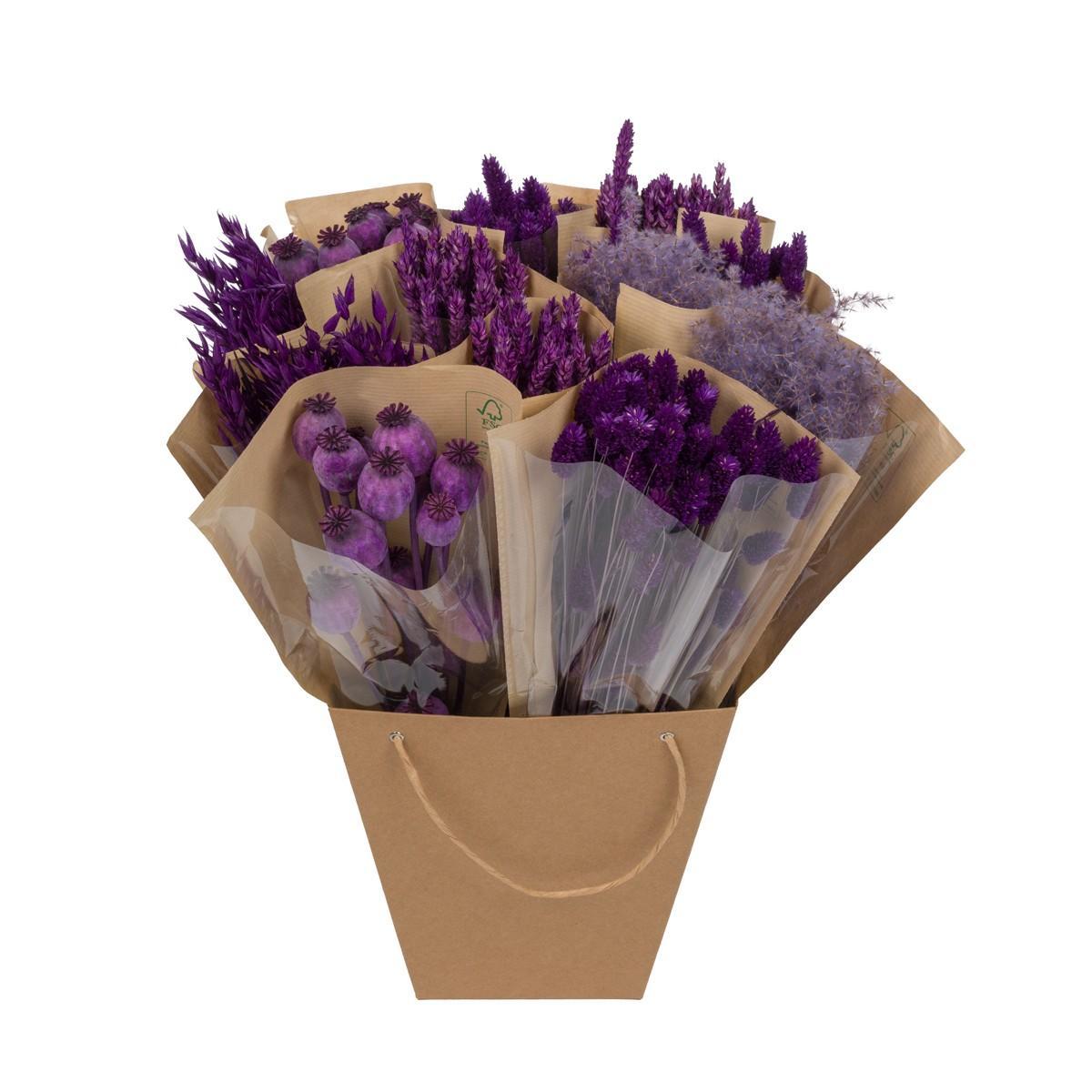 Trockenblumen - Dried Mono Mix - Purple - ↕50cm