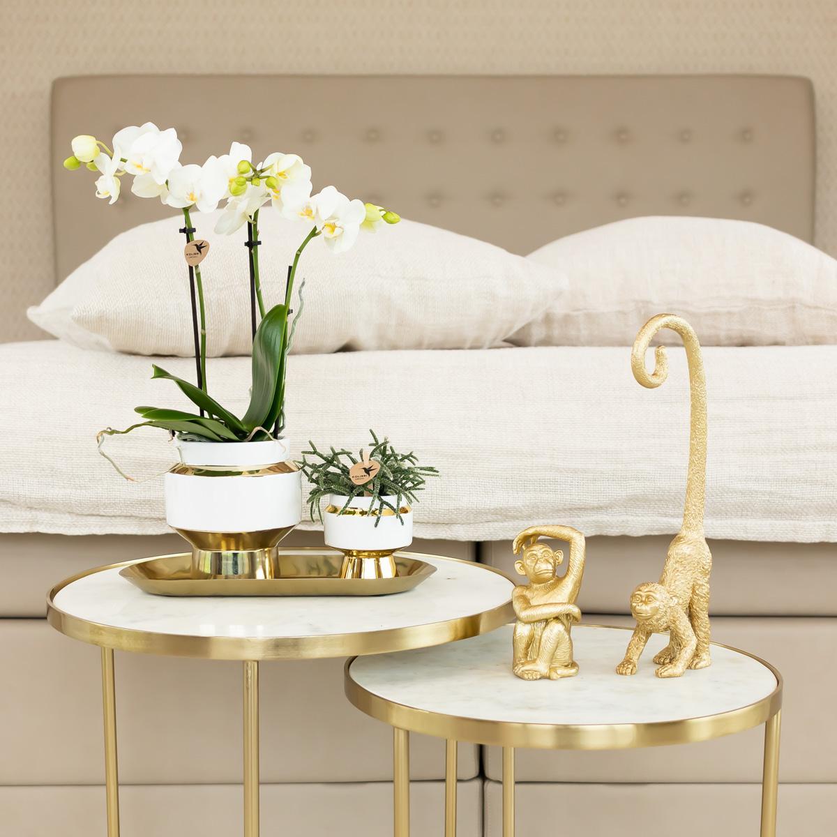 Kolibrie Thuis | Le Chic bloempot - Witte decoratieve keramiek pot met gouden details - Ø9cm