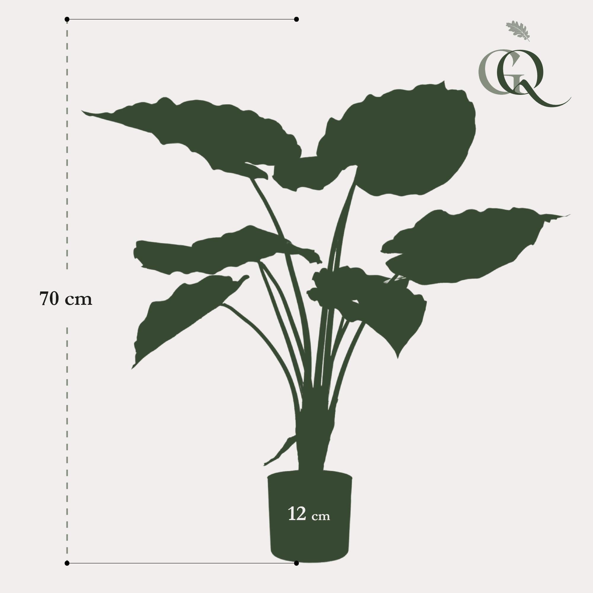 Kunstpflanze - Alocasia - 70 cm