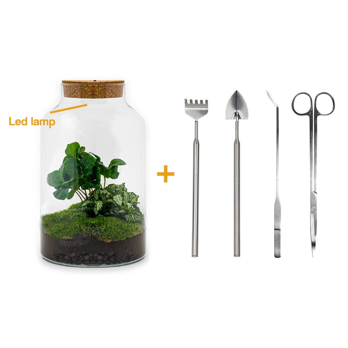 Flaschengarten - Milky Coffea mit Lampe - ↕ 31 cm - Rake + Shovel + Tweezer + Scissors