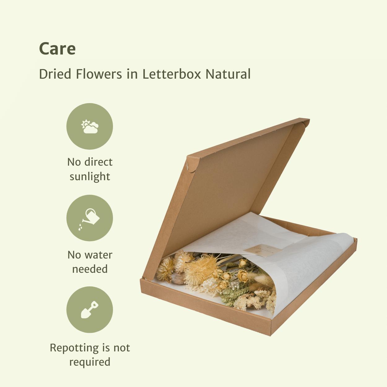 Trockenblumen - Briefkasten Multi - Naturral