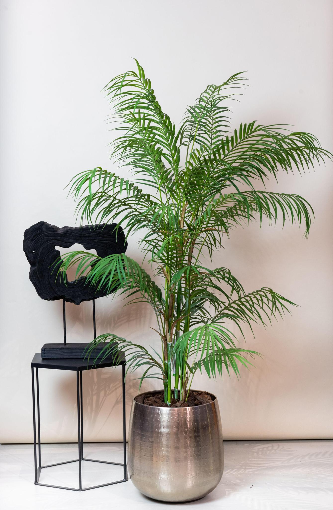 Kunstpflanze - Chamaedorea Elegans - Bergpalme - 120 cm