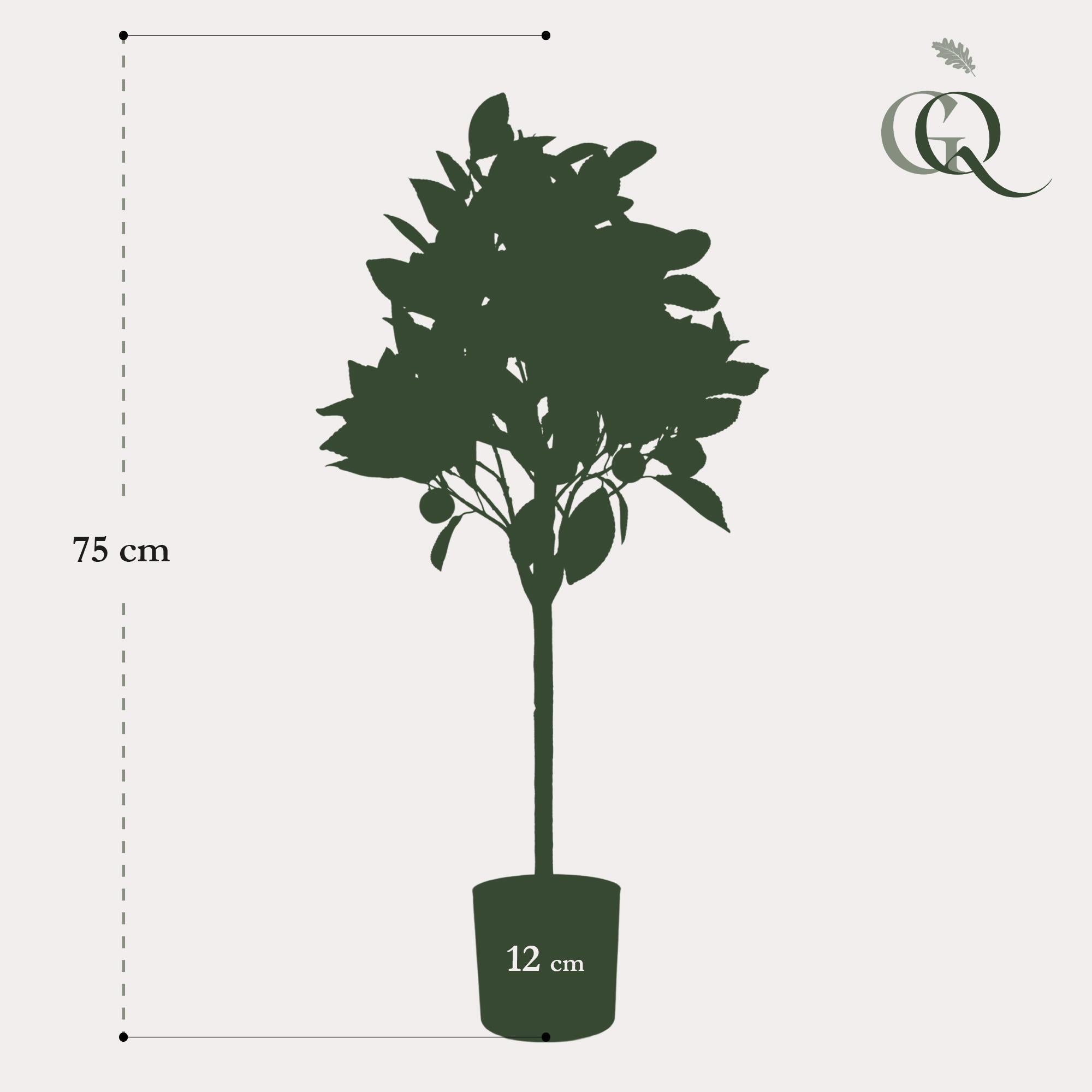 Kunstpflanze - Citrus Sinensis - Orange baum - 75 cm