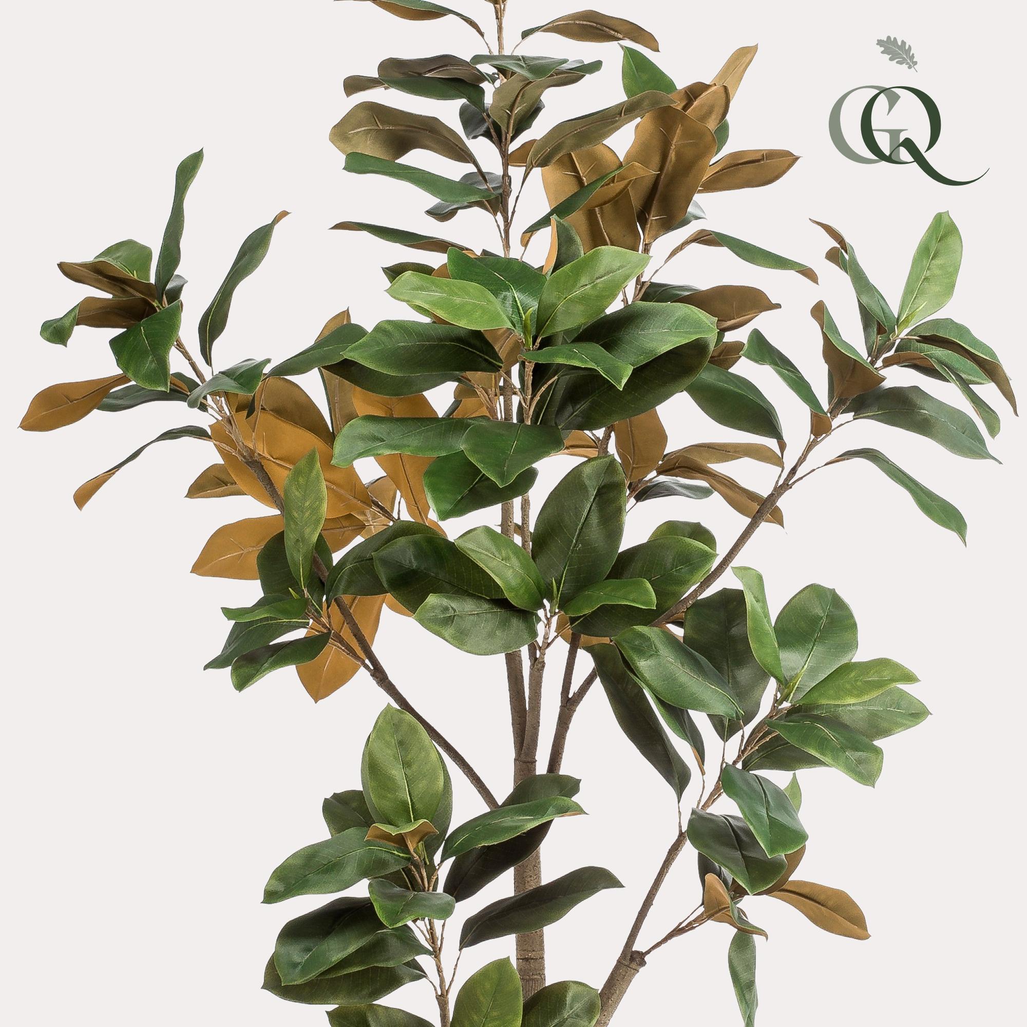 Kunstpflanze - Magnolia Grandiflora - 180 cm