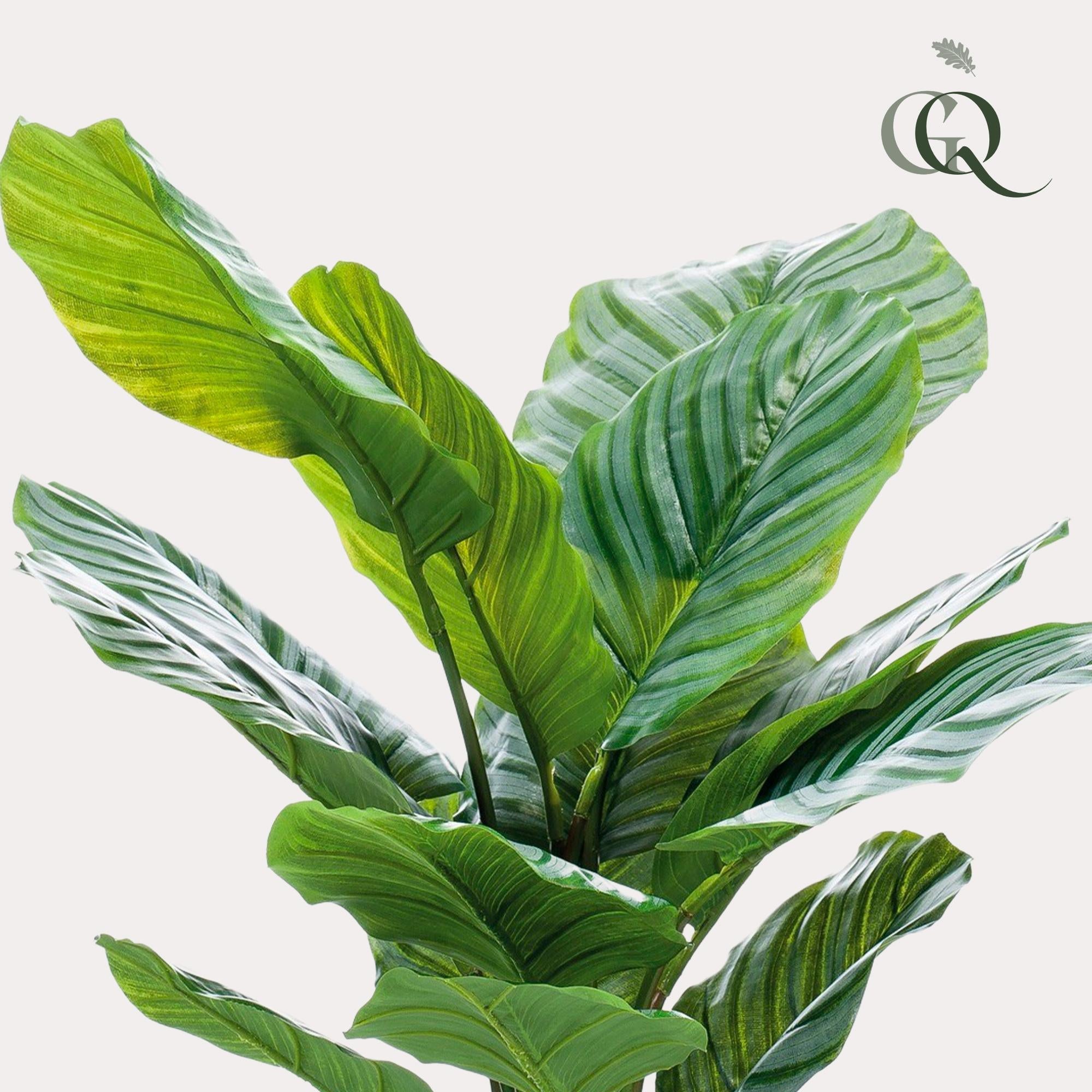 Kunstpflanze - Calathea Orbifolia - Schattigkeitspflanze - 60 cm