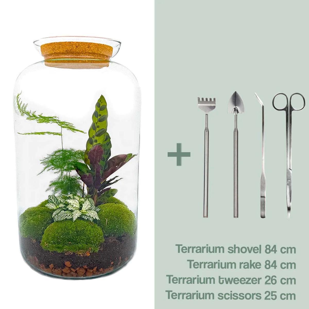 Flaschengarten - Botanical Sven XL - ↕ 43 cm - Rake + Shovel + Tweezer + Scissors