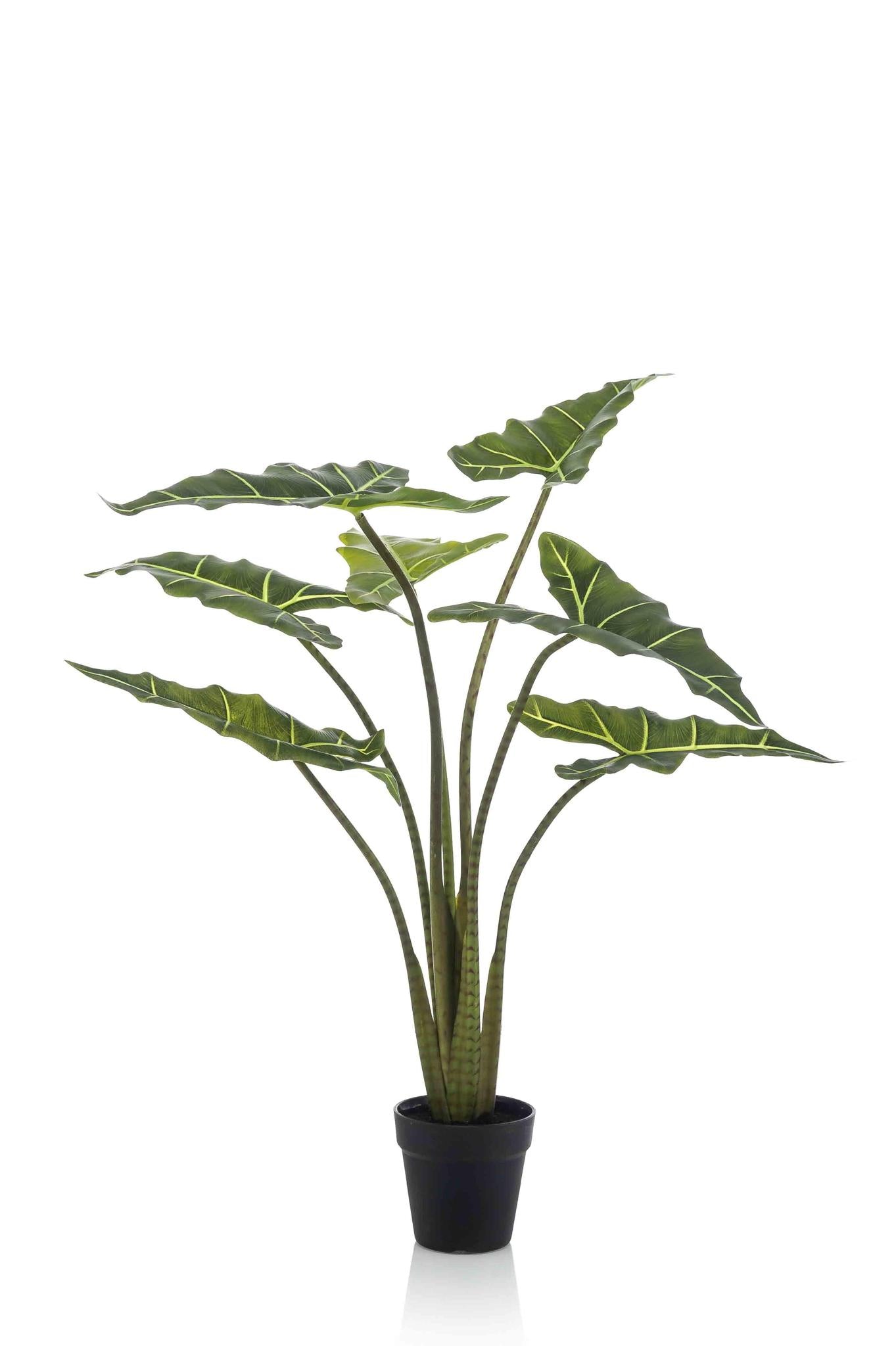 Kunstpflanze - Alocasia Frydek - 90 cm