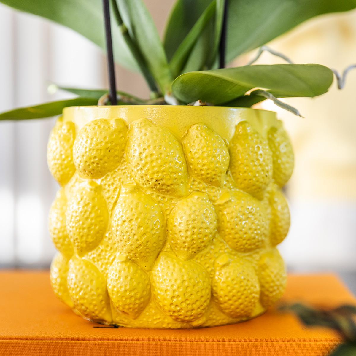 Blumentopf - Citrus pot yellow - Kombi-Angebot - 3er Set 6, 9 u. 12 cm