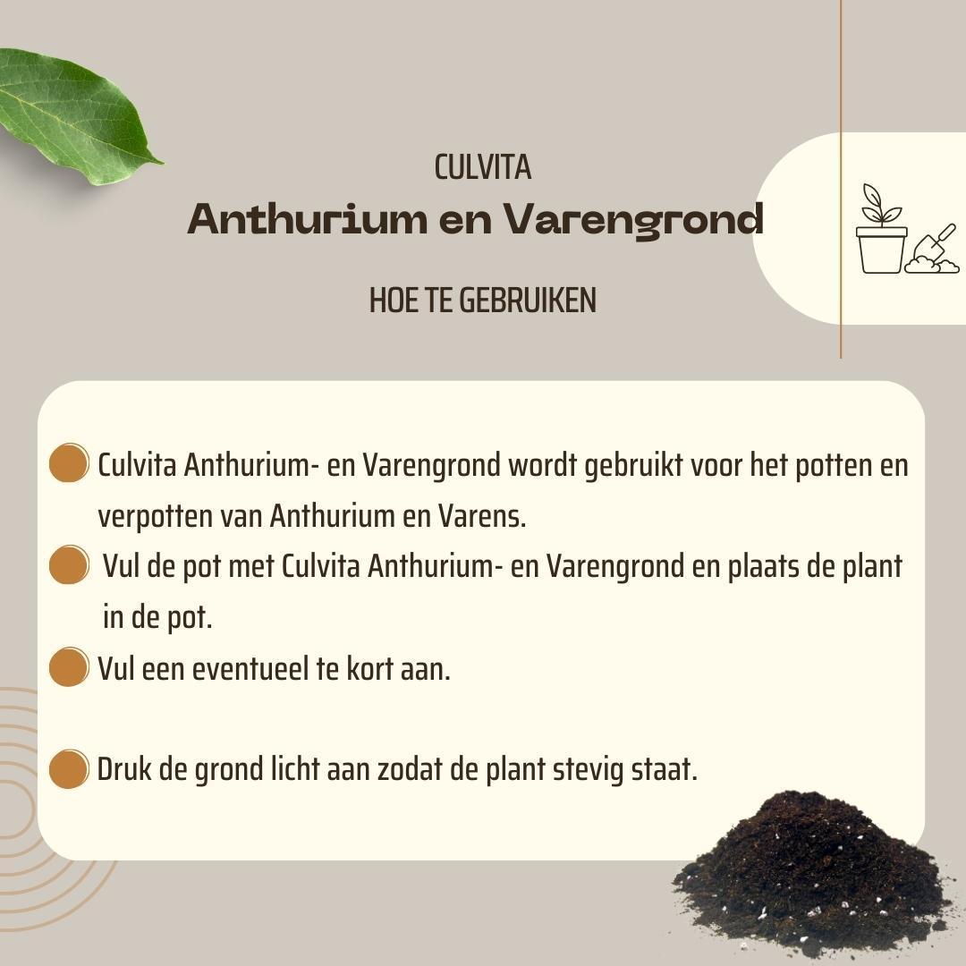 Blumenerde für Anthurium und Farne