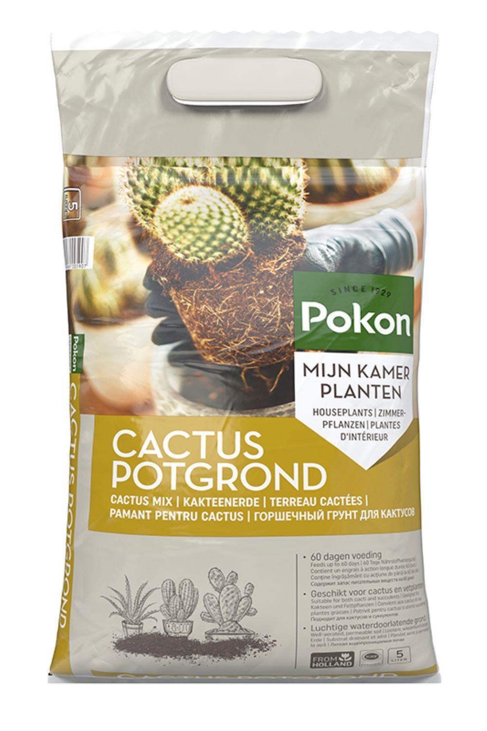 Pokon-Kaktus und Sukkulente – 5 l – Blumenerde