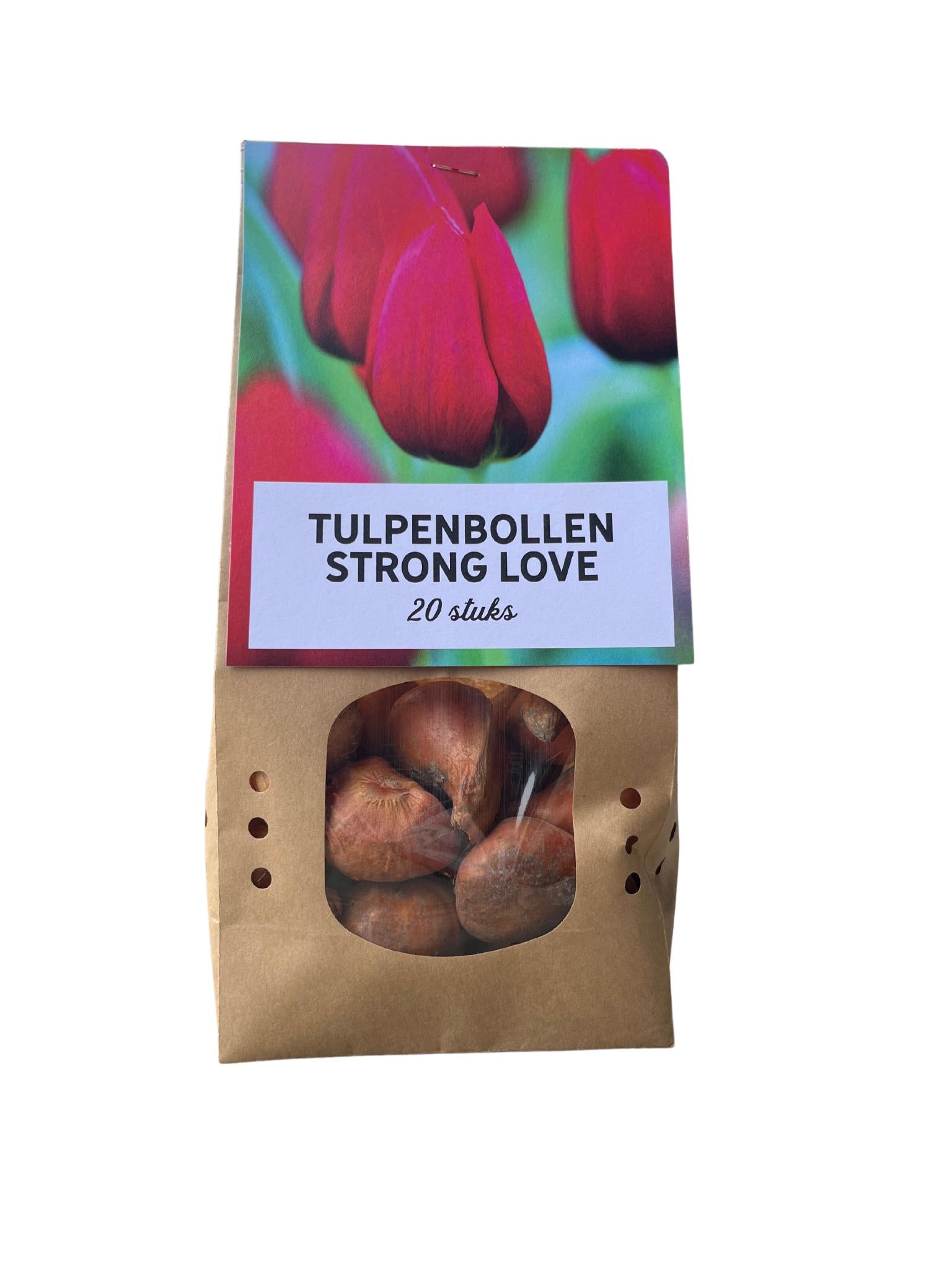 Tulpe Strong Love - Tulpenzwiebeln 20 Stück