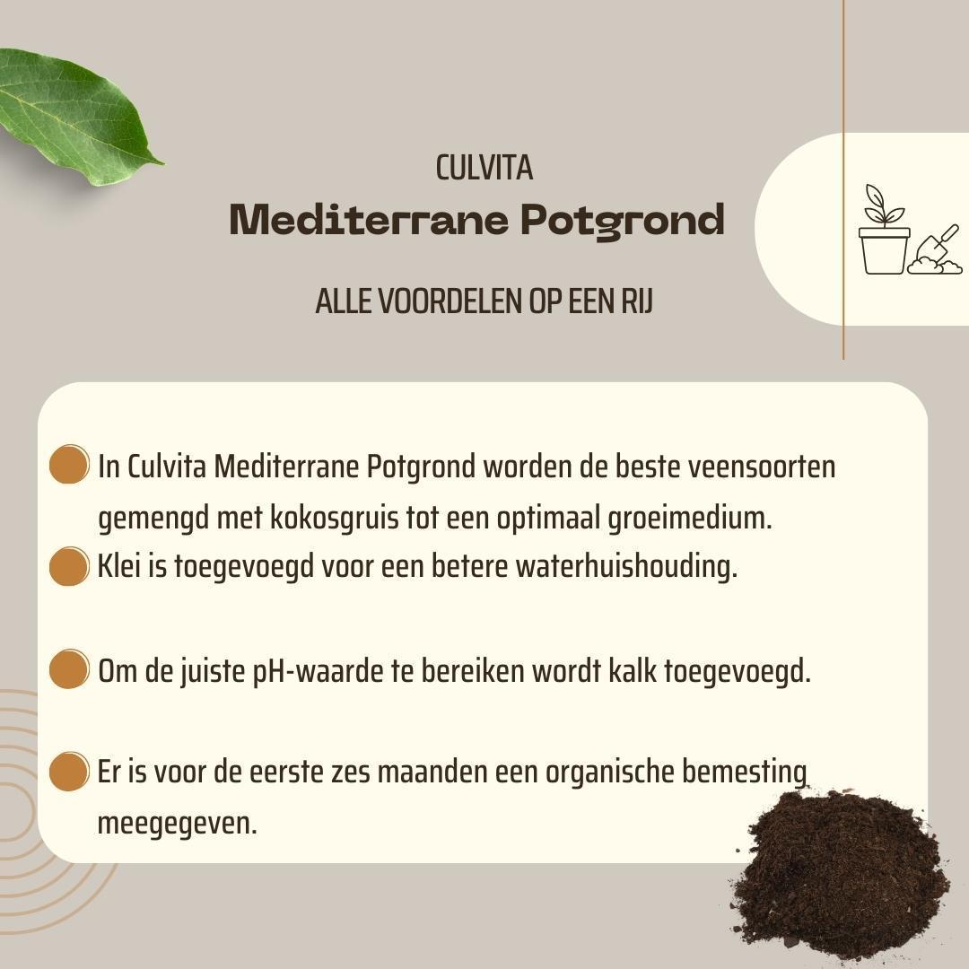 Blumenerde - Mediterrane Blumenerde 40 Liter inklusive RhizoPlus - Blumenerde für mediterrane Pflanzen u.a. geeignet für Olivenbäume, Zitruspflanzen und Palmen