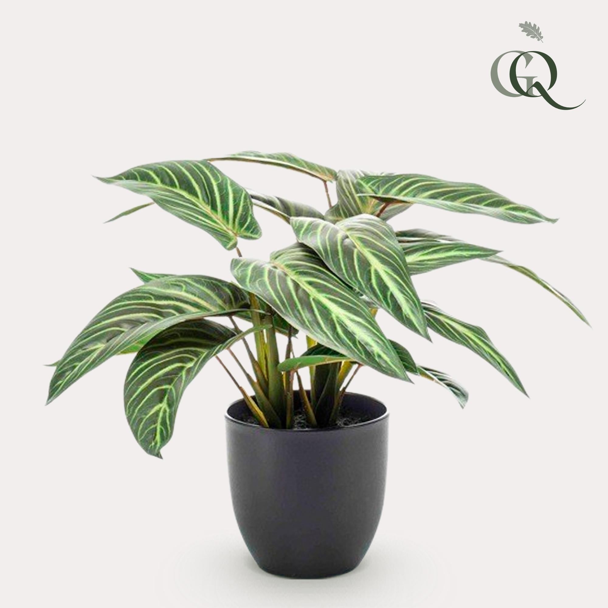 Kunstpflanze - Calathea Zebrina - 38 cm